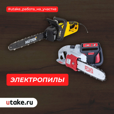 Плюсы и минусы электропилы