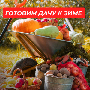 Готовим дачу к зиме